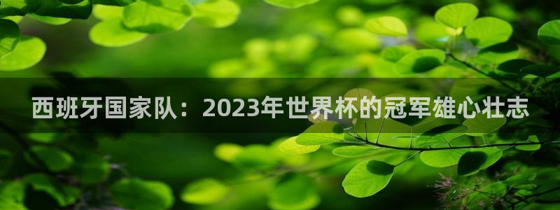 世界杯2026赛程表:西班牙国家队:2023年世界杯的冠军雄心壮志