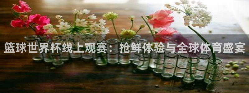 世界杯足球:篮球世界杯线上观赛:抢鲜体验与全球体育盛宴