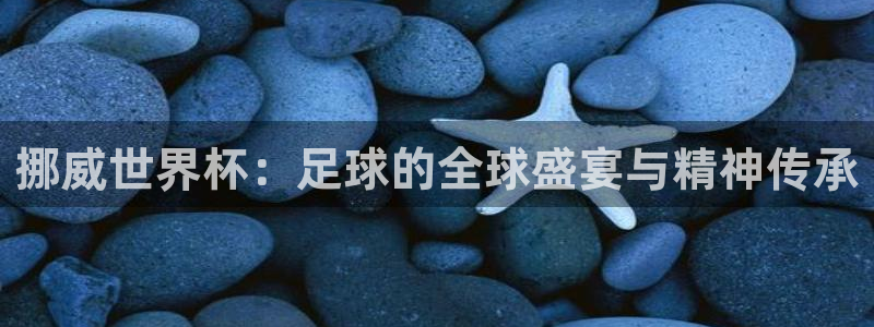 女足世界杯赛程:挪威世界杯:足球的全球盛宴与精神传承