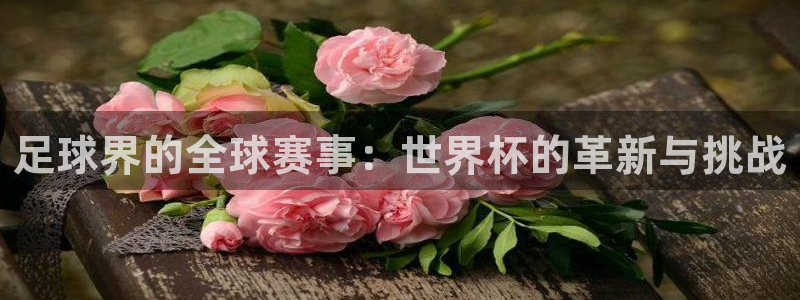 足球世预赛:足球界的全球赛事:世界杯的革新与挑战